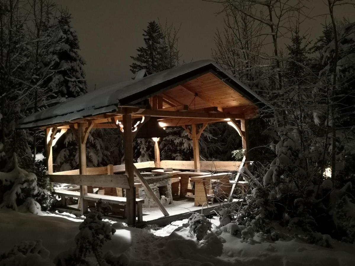 Willa Gusia, Apartamenty Zakopane Exterior foto