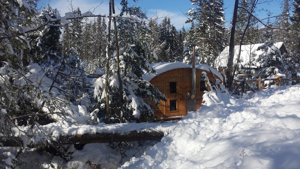 Willa Gusia, Apartamenty Zakopane Exterior foto